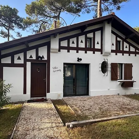 Pyla Sur Villa La Teste-de-Buch